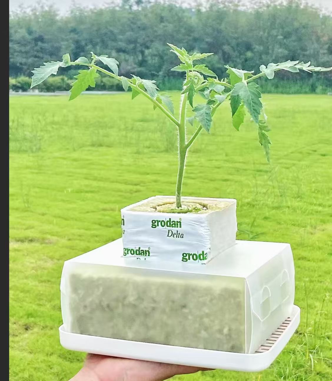 六合一种植盒子